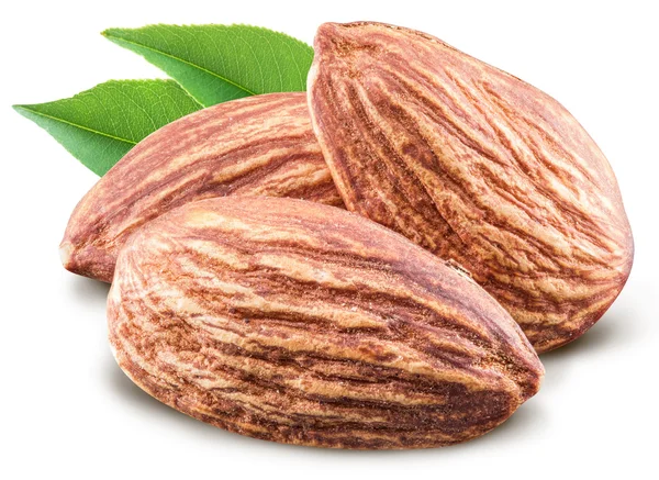 Almond nuts. File contains clipping paths. — Stock Photo, Image