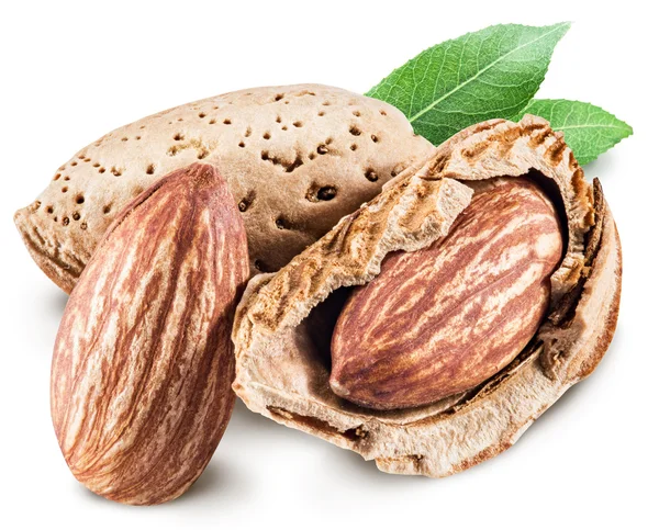 Almond nuts. File contains clipping paths. — Stock Photo, Image