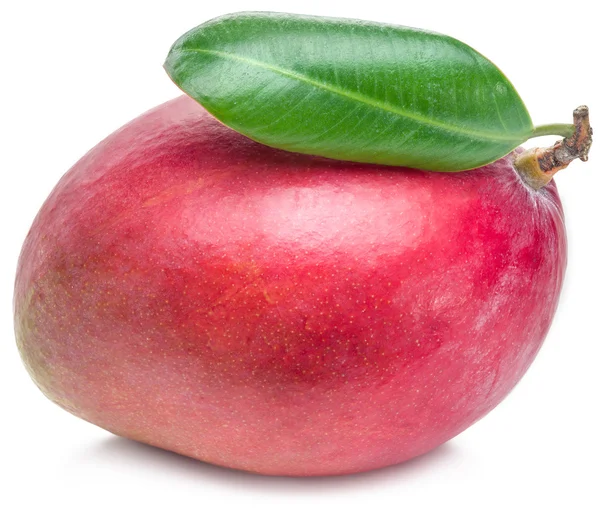 Mango fruit met blad geïsoleerd op de witte achtergrond. — Stockfoto