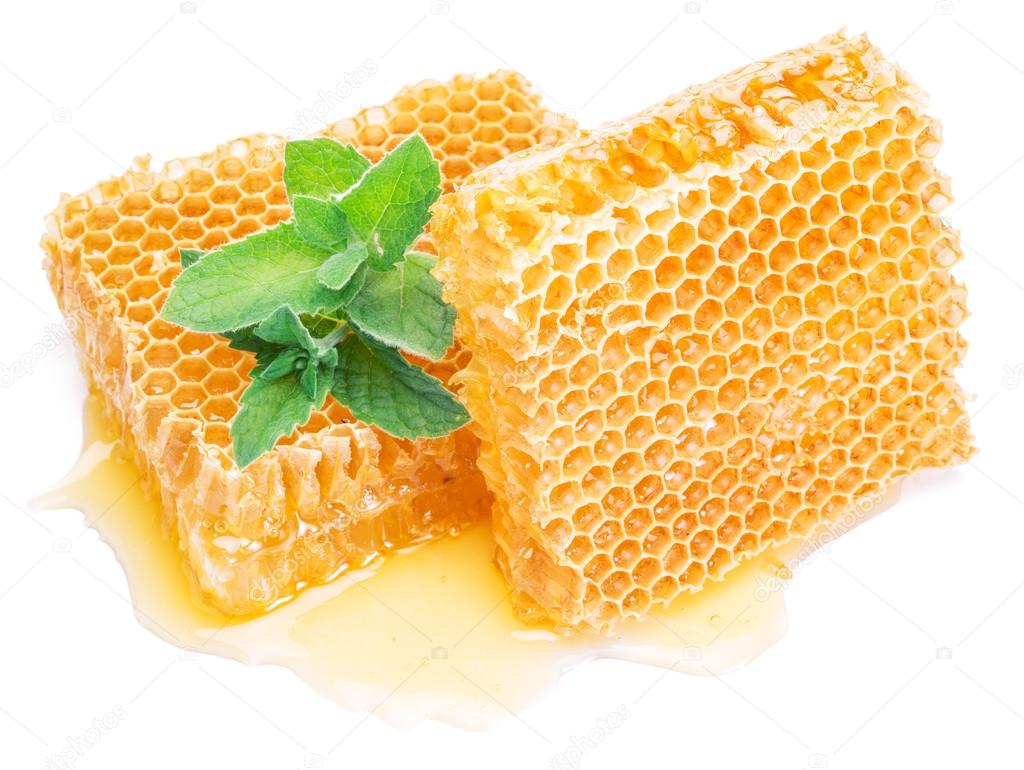 Honeycomb and mint. High-quality picture.