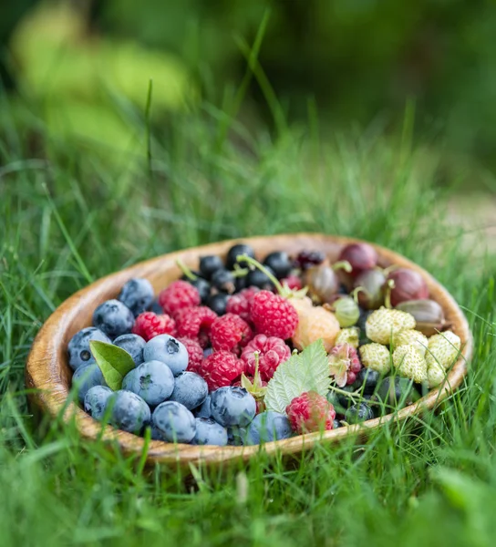 Спелые ягоды в деревянной чаше над зеленой травой . — стоковое фото