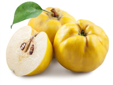 Elma-Ayva yaprağı.