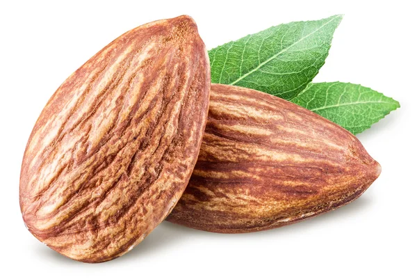 Almond nuts. File contains clipping paths. — Stock Photo, Image