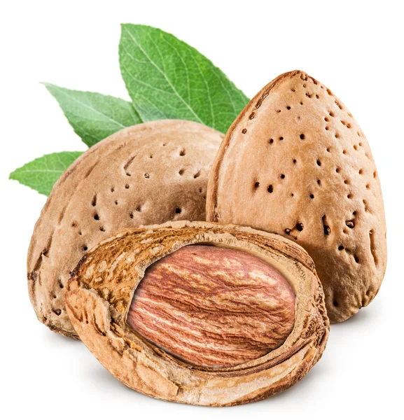 Almond nuts. File contains clipping paths. — Stock Photo, Image