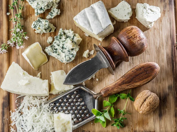 Different types of cheeses with nuts and herbs. — Stock Photo, Image