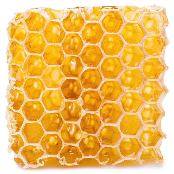 Honeycomb. High-quality picture contains clipping paths. — Stock Photo, Image