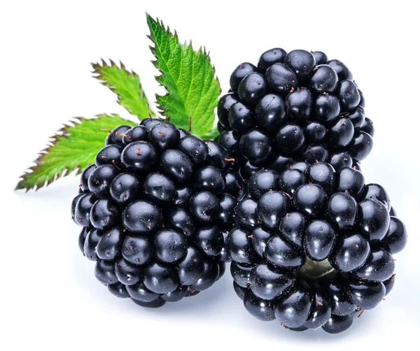 Three blackberries on the white background. — Stock Photo, Image