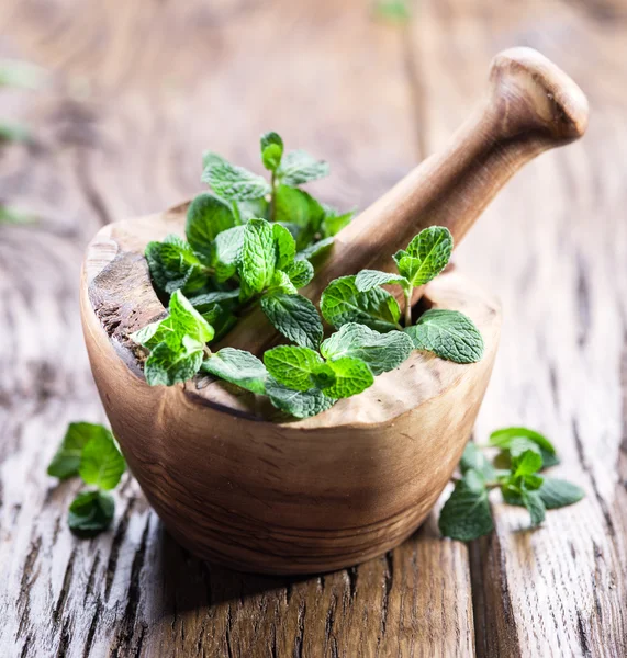 Menta fresca, argamassa de madeira e pilão . — Fotografia de Stock