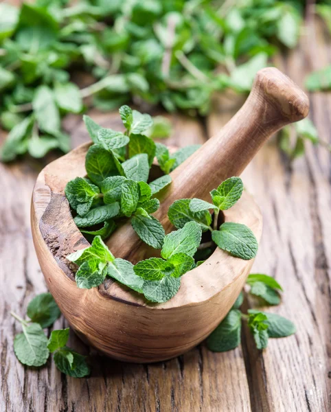 Menta fresca, argamassa de madeira e pilão . — Fotografia de Stock