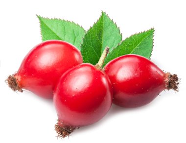 Rose-kalça üzerinde beyaz bir arka plan izole yaprak ile.