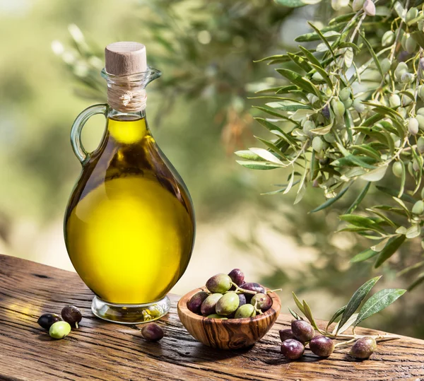 Olivenöl und Beeren liegen auf dem Holztisch unter dem Olivenbaum. — Stockfoto