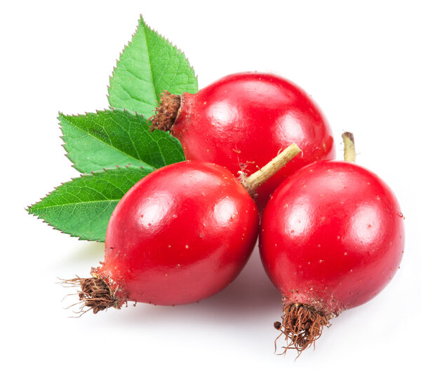 Rose-hips with leaf isolated on a white background.