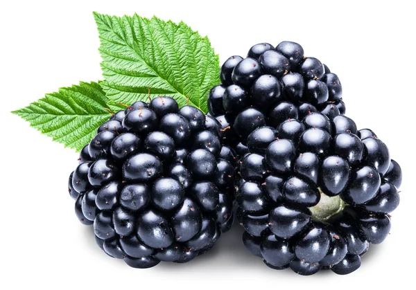 Three ripe blackberries on the white background. — Stock Photo, Image