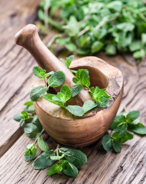 Taze nane, ahşap harç ve havaneli.