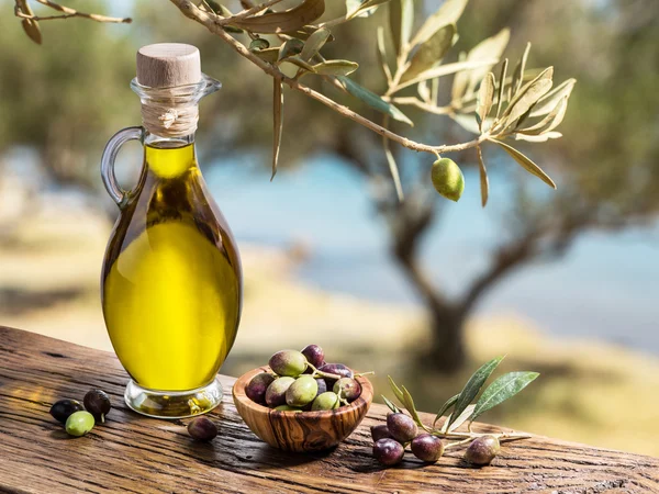 Olijfolie en bessen zijn op houten tafel onder de olijf tr — Stockfoto