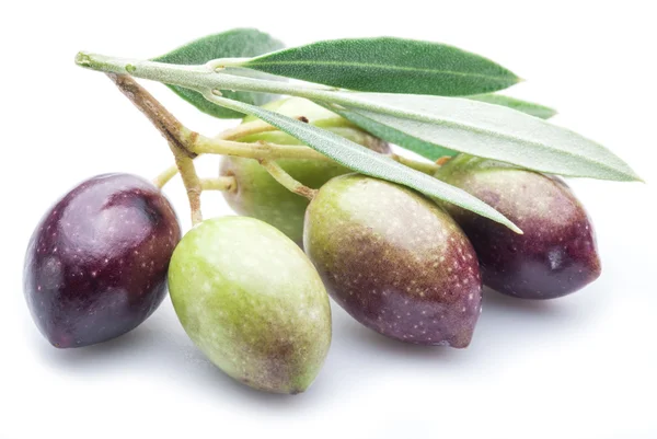 Aceitunas frescas con hojas sobre el fondo blanco . — Foto de Stock