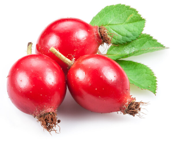 Rose-hips with leaf isolated on a white background.