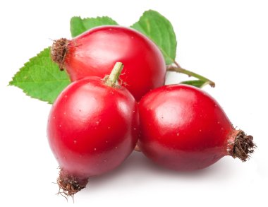 Rose-kalça üzerinde beyaz bir arka plan izole yaprak ile.