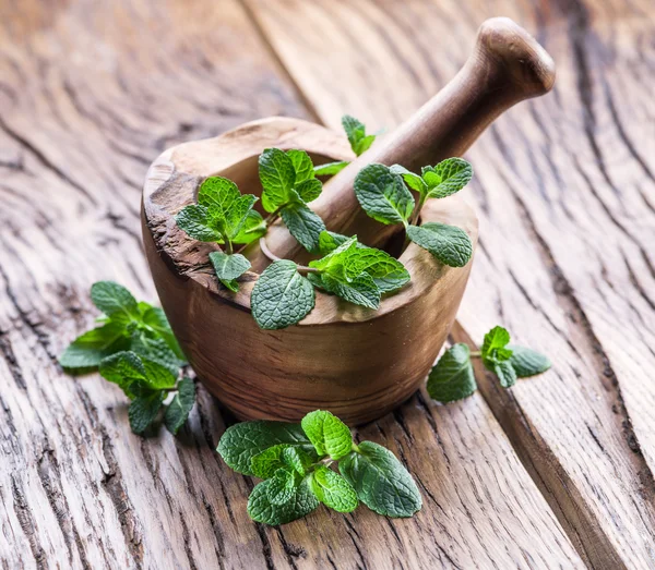 Menta fresca, argamassa de madeira e pilão . — Fotografia de Stock