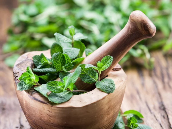 Menta fresca, argamassa de madeira e pilão . — Fotografia de Stock