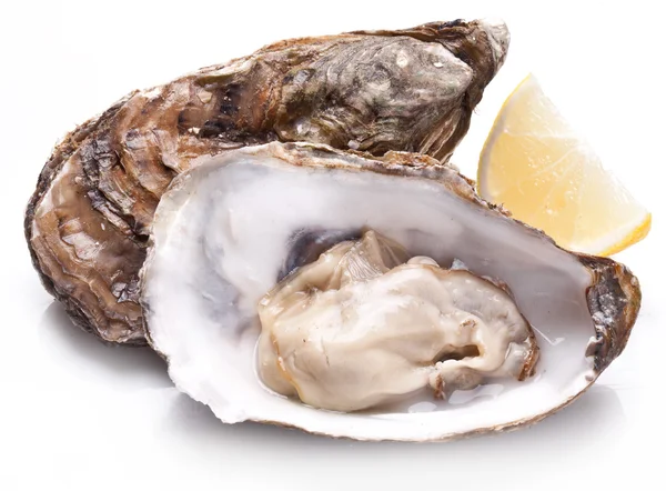 Raw oyster and lemon on a whte background. — Stock Photo, Image