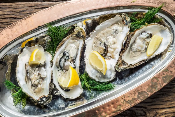 Opened oysters with piece of lemon on the cooper tray. — Stock Photo, Image