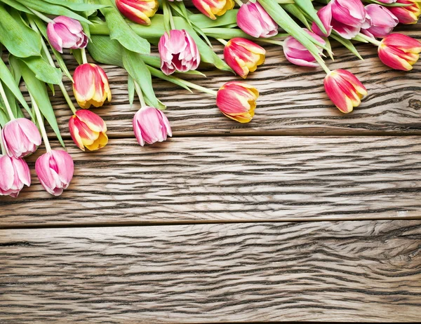 Pink and red tulips on a wooden background. — Stock Photo, Image