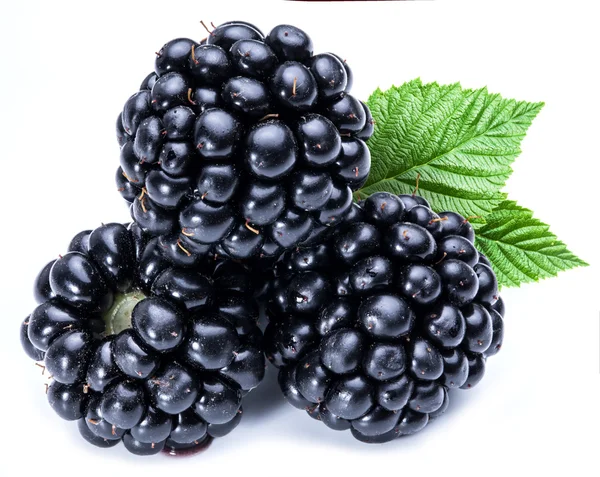 Three blackberries on the white background. — Stock Photo, Image