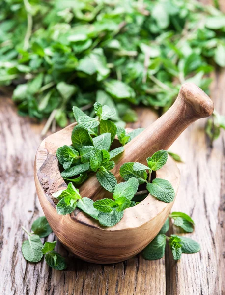 Menta fresca, argamassa de madeira e pilão . — Fotografia de Stock