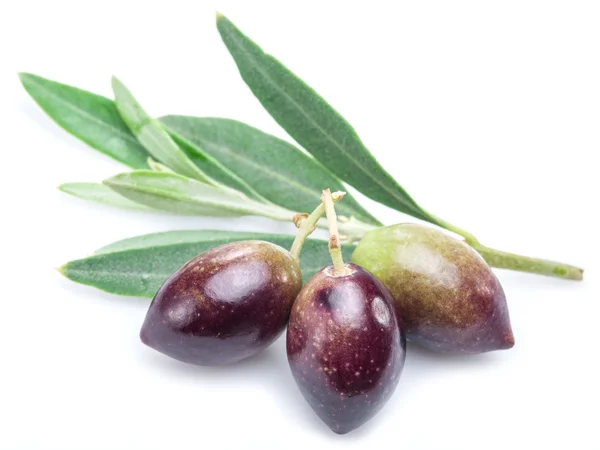Drei frische Oliven mit Blättern auf weißem Hintergrund. — Stockfoto