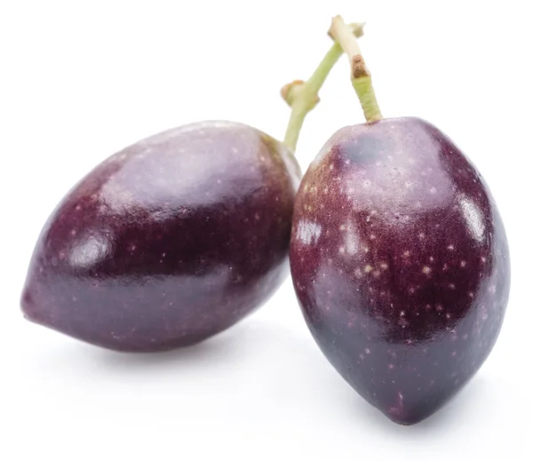 Two fresh olives on the white background. — Stock Photo, Image