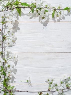 Eski ahşap masa üzerinde kiraz dal çiçek.