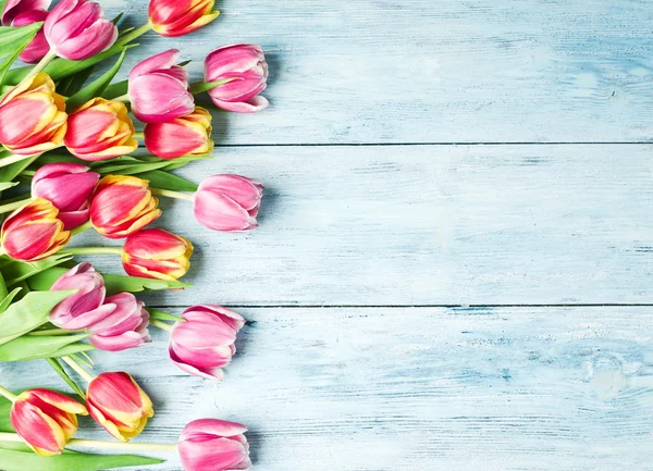 Růžové a červené tulipány na dřevěné pozadí. — Stock fotografie