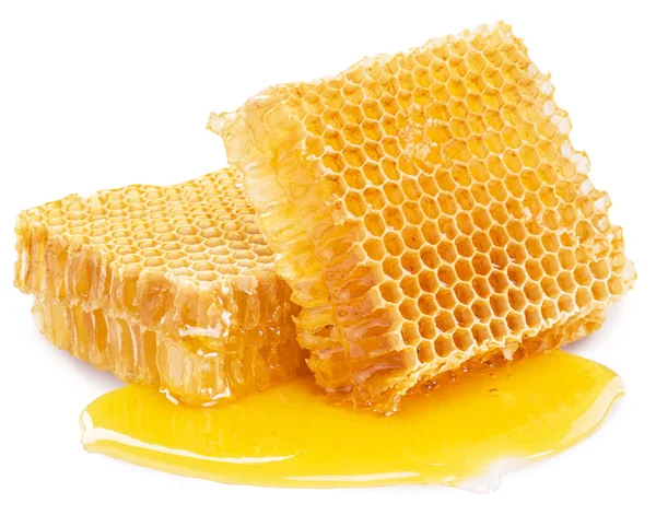 Panal de abeja. Imagen de alta calidad contiene recorte caminos . — Foto de Stock