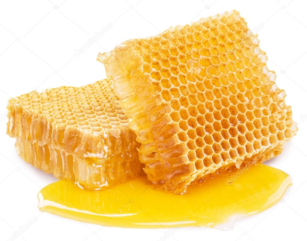 Honeycomb. High-quality picture contains clipping paths.