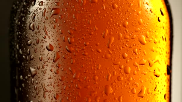 Druppel condensaat aftappen op een flesje bier. — Stockvideo