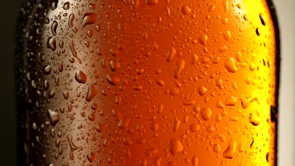 Drop of condensate drains on a bottle of beer. — Stock Video