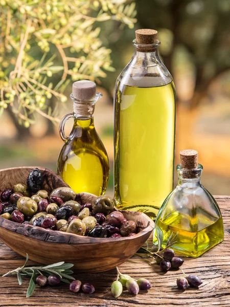 Olijfolie en bessen zijn op houten tafel onder de olijf tr — Stockfoto