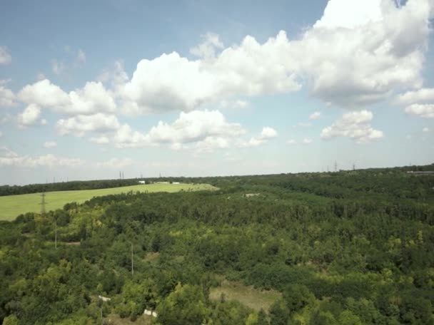 Sol Atardecer Campo Hierba Fresca Verde Bajo Cielo Azul — Vídeo de stock