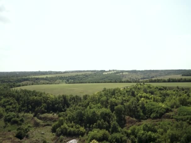 Tramonto Sole Campo Erba Fresca Verde Sotto Cielo Blu — Video Stock