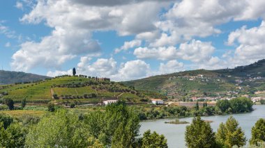 Şarap işlemek için üzüm bağları olan dağlı bir bataklık.
