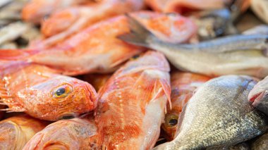 Pazarda taze balık ve Sal için buz.