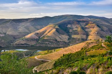 Dağları, bağları, nehri ve yolu olan güzel bir manzara.