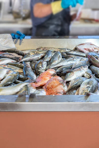 Свежая Рыба Рынке Киоск Льдом Продажу — стоковое фото