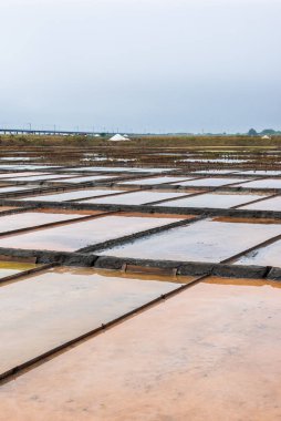 Tuz ve tuz toplama havuzlarındaki farklı tuz türleri.
