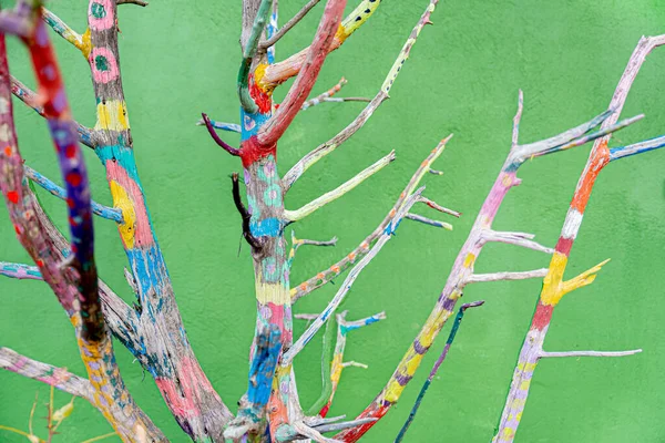 Дерево Листя Пофарбоване Різні Кольори Фоні Зеленої Стіни — стокове фото