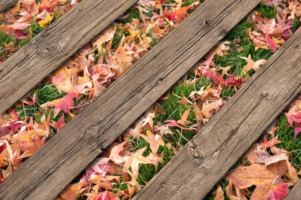 Background Wooden Planks Contrast Meadow Grass Fallen Autumn Leaves — Stock Photo, Image