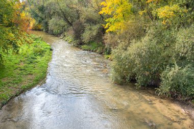 Nehrin kaburgası, İspanya 'nın Madrid kentindeki nehrin kenarındaki yaya köprüsünden alınmış.