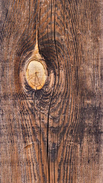 濃茶色の木板に結び目の跡と淡色の粒がついている — ストック写真