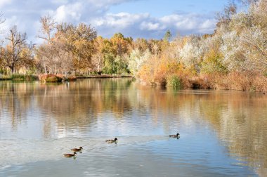 Sonbahar manzarası suya yansıyor.